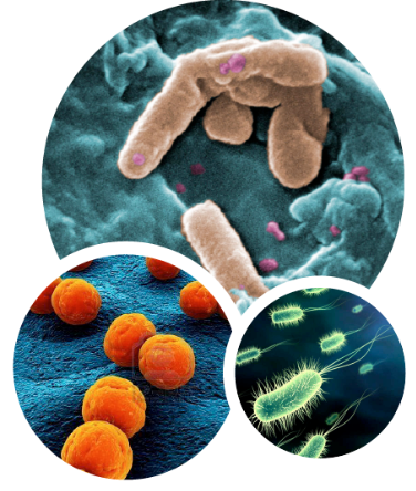 sanitaires